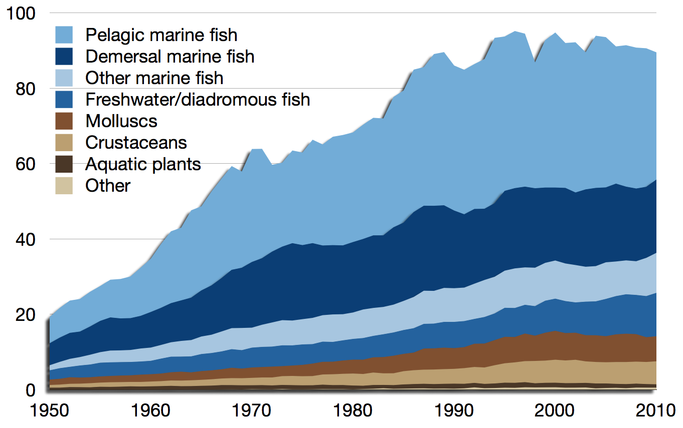 Graph showing how the global catch of wild fish has increased dramatically