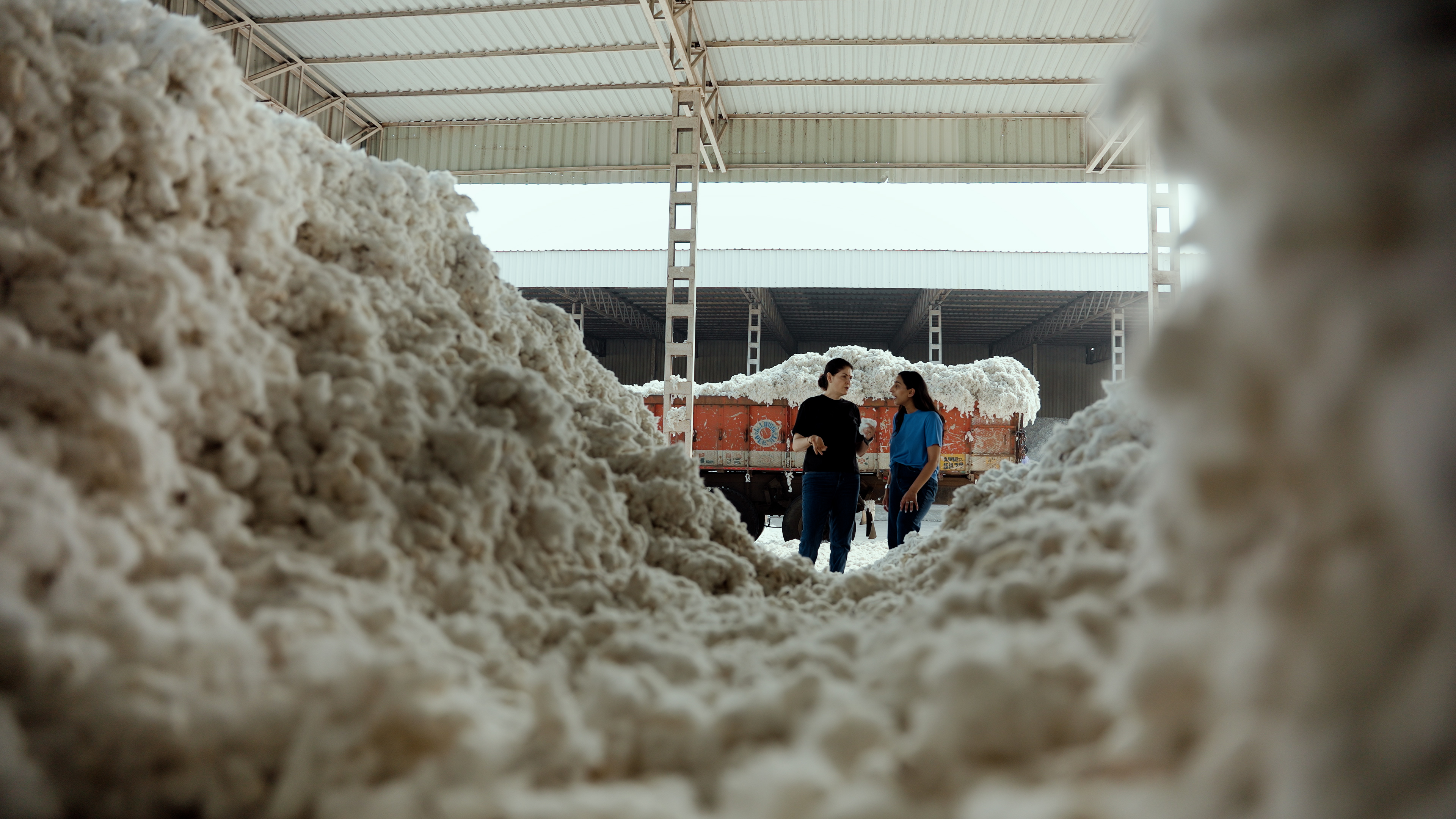 Heaps of raw cotton