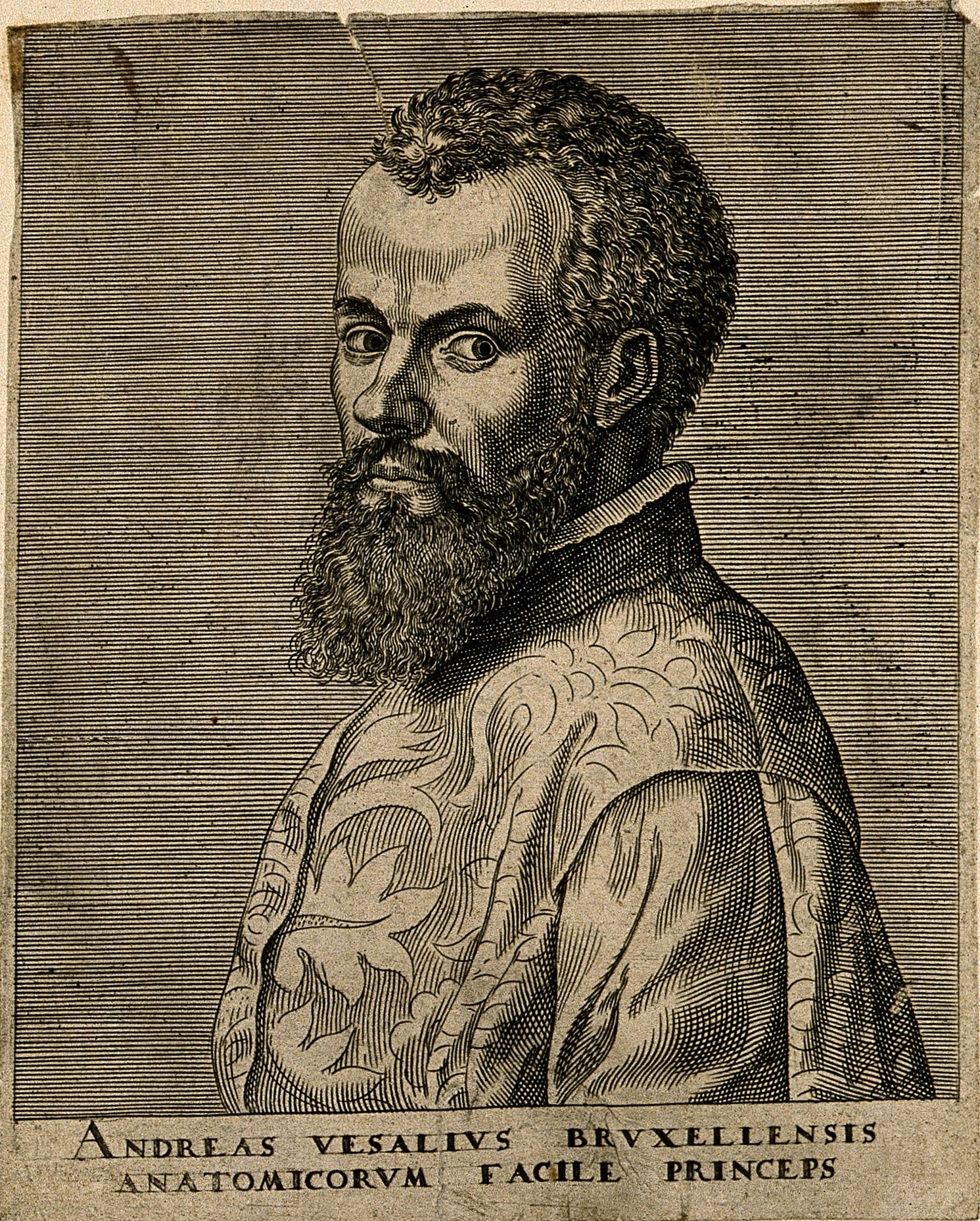 Portrait of Andreas Vesalius (1514 - 1564), Flemish anatomist