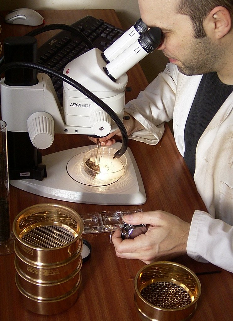 Man sitting at a desk examining soil samples under a microscope