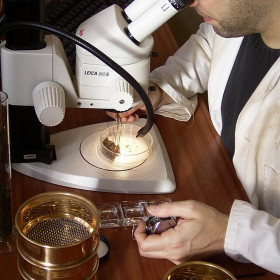 Post Excavation Examination Using Microscope
