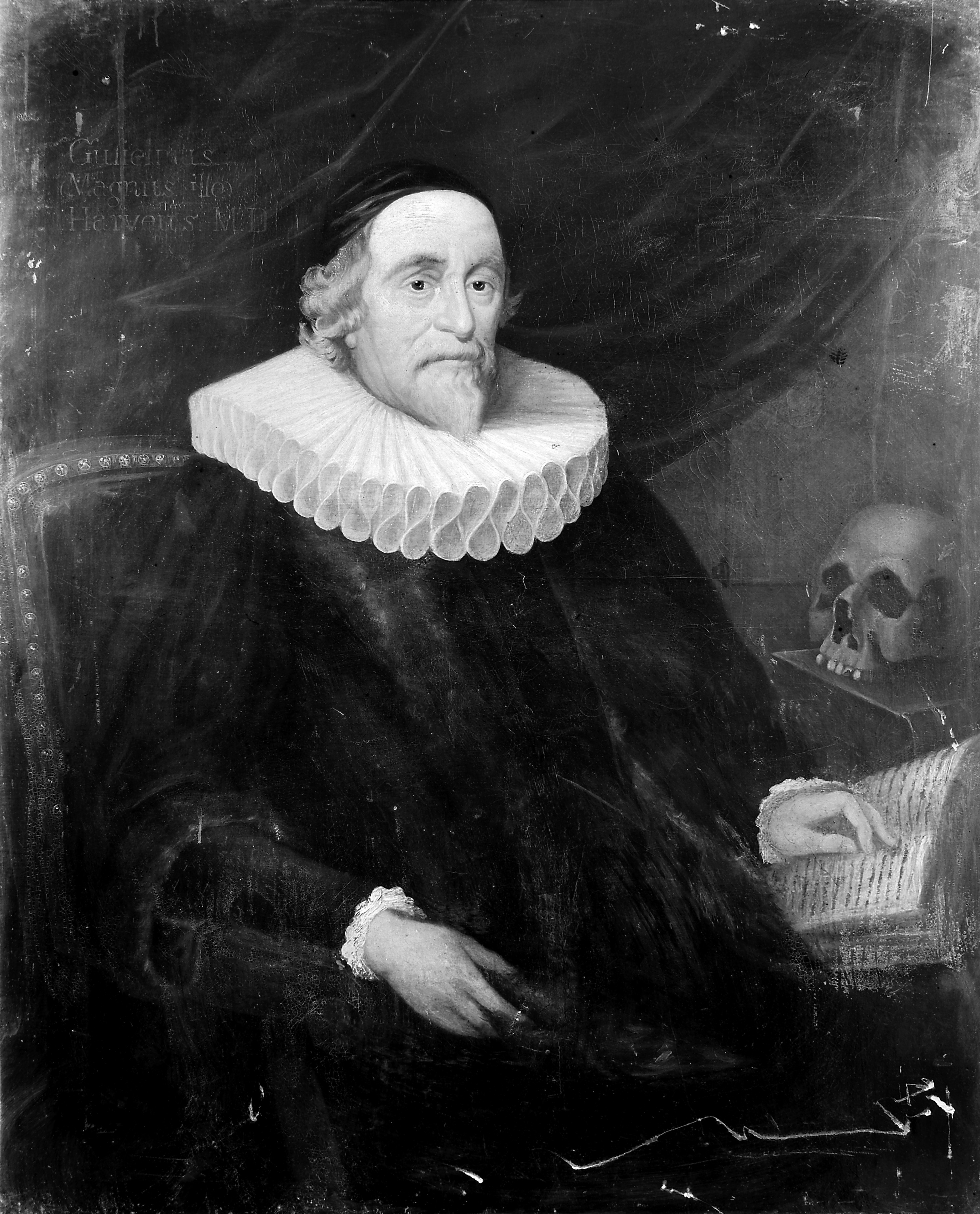 Portrait of William Harvey, Surgeon