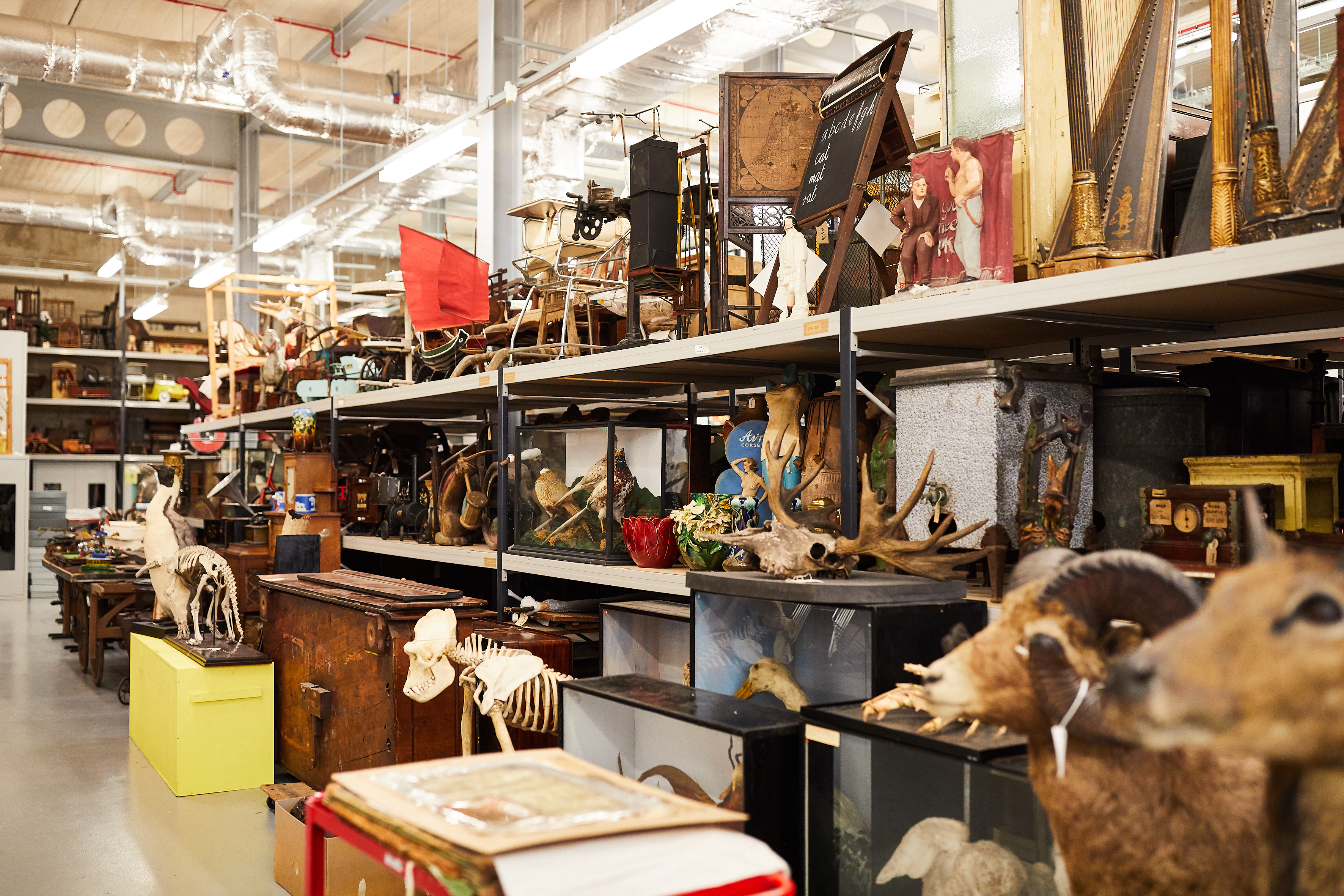 Photograph showing long shelves filled with different objects, including animal skeletons, model boat, taxidermy, harps and a blackboard