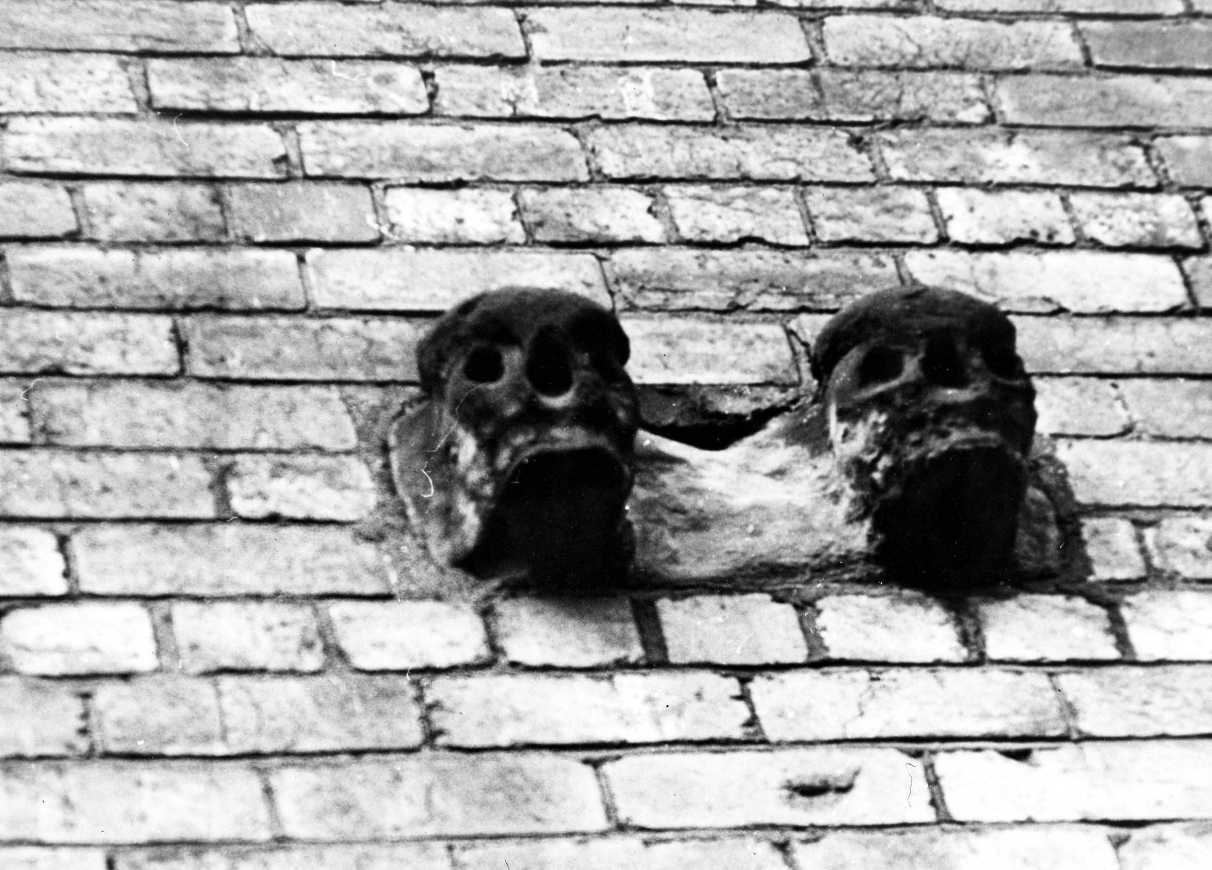 Black and white photograph of two skulls protruding from a brick wall of a building