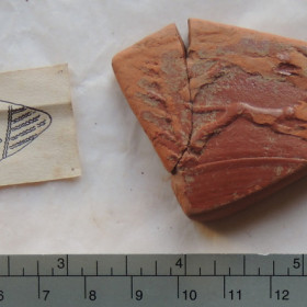 Samian Ware