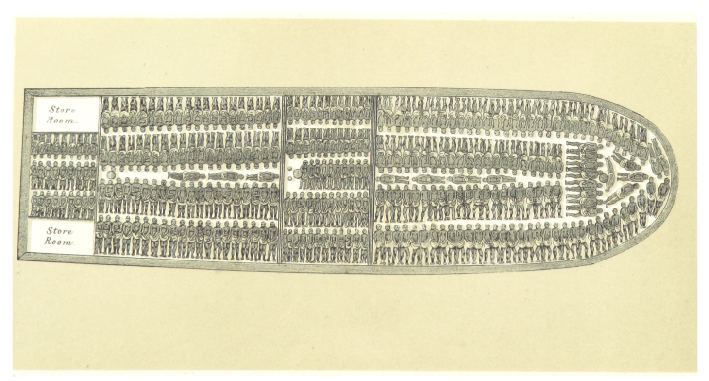 Drawing showing how enslaved people were packed onto ships, side by side with very little room to move.