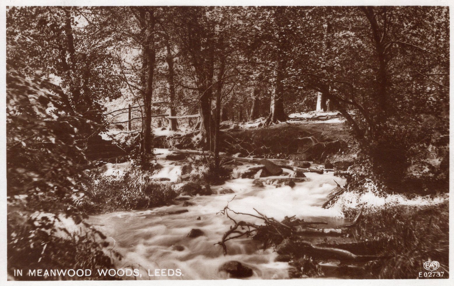 Black and white photograph of a heavy wooded area with a stream winding through it. The is a small wooden bridge across the stream in the middle distance, Everything beyond this is screened off with trees.