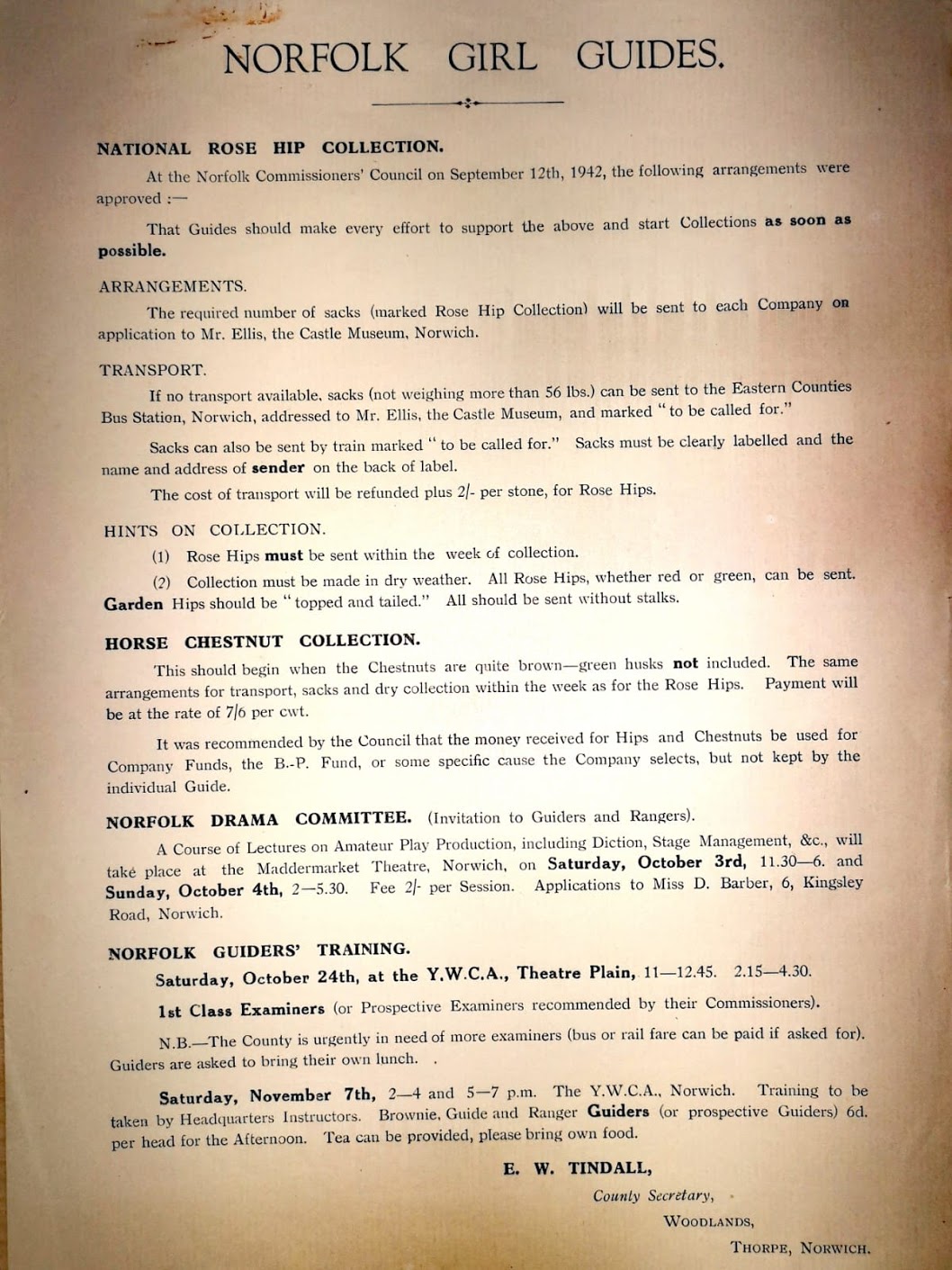 Scan of a document about Norfolk Girl Guides collecting rose hips as part of the Home Front war effort