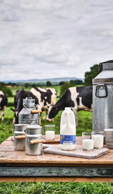 A rustic wooden table set in a green pasture holds milk bottles and vintage metal jugs. Cows graze peacefully in the background under a cloudy sky.