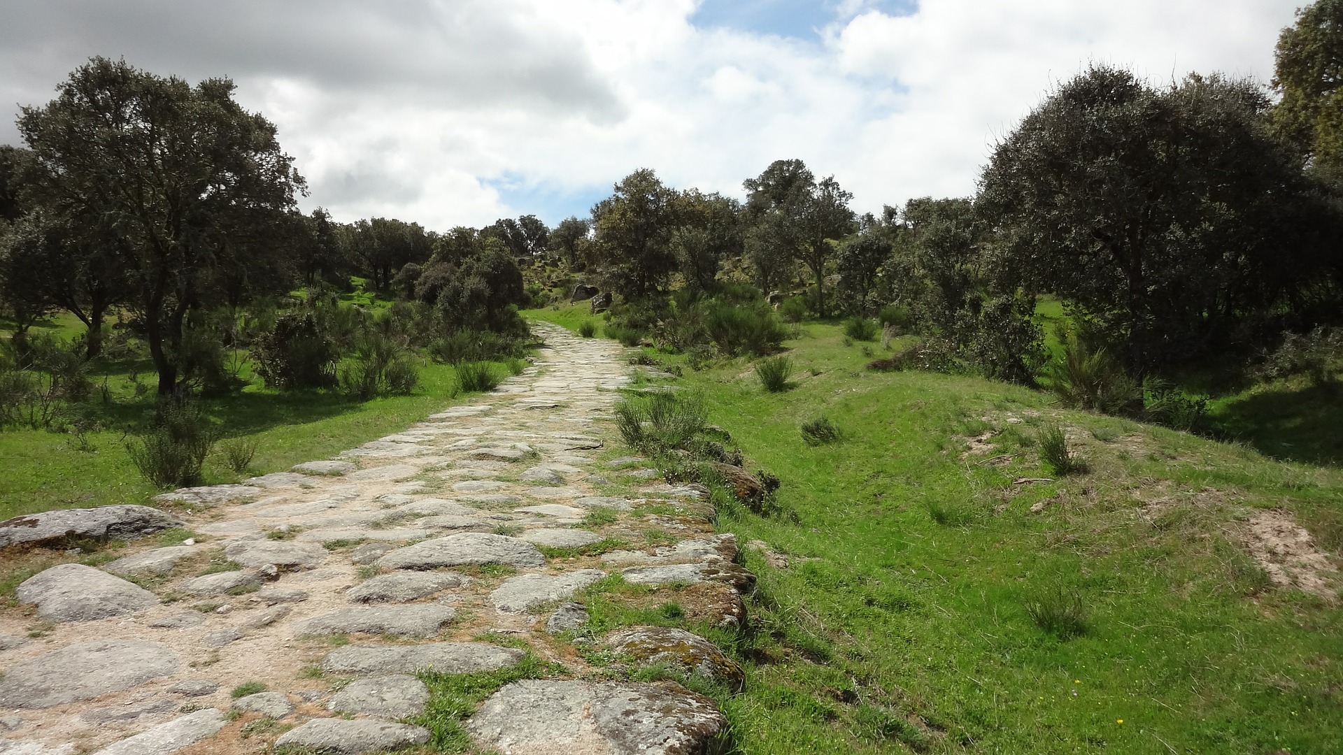 Colour photograph showing the remains of a Roman road - large stones can be seen on the top surface