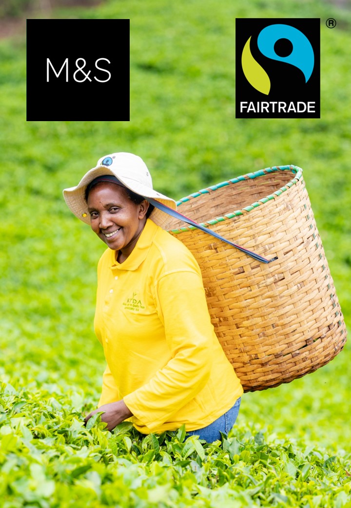 Smiling woman in a yellow shirt and hat carries a large woven basket through a lush green tea field. M&S and Fairtrade logos are featured above.