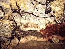 Drawing of a bison or ox type animal in black outline on a cave wall.