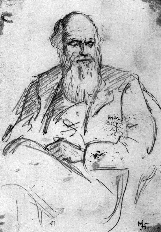Portrait of Charles Darwin in pencil
