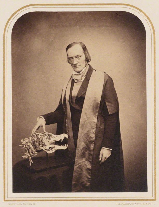 Photo of Richard Owen, British anatomist, biologist and palaeontologist. He is shown standing next to an animal skull
