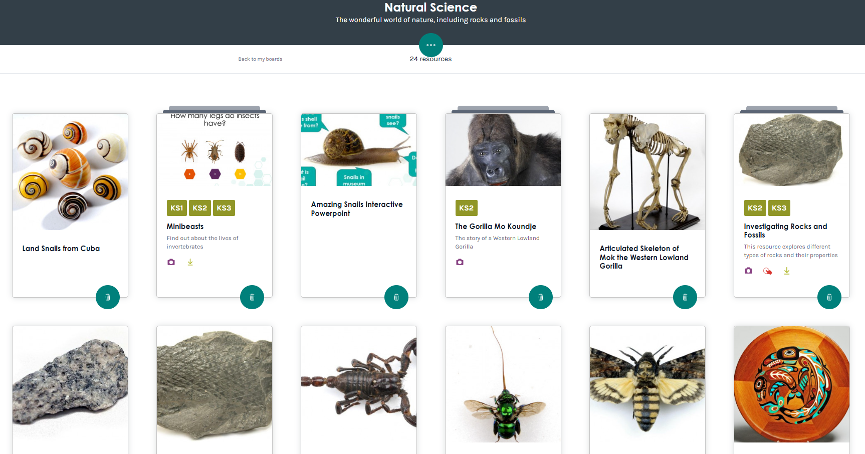 Screenshot of a Natural Science Work Board