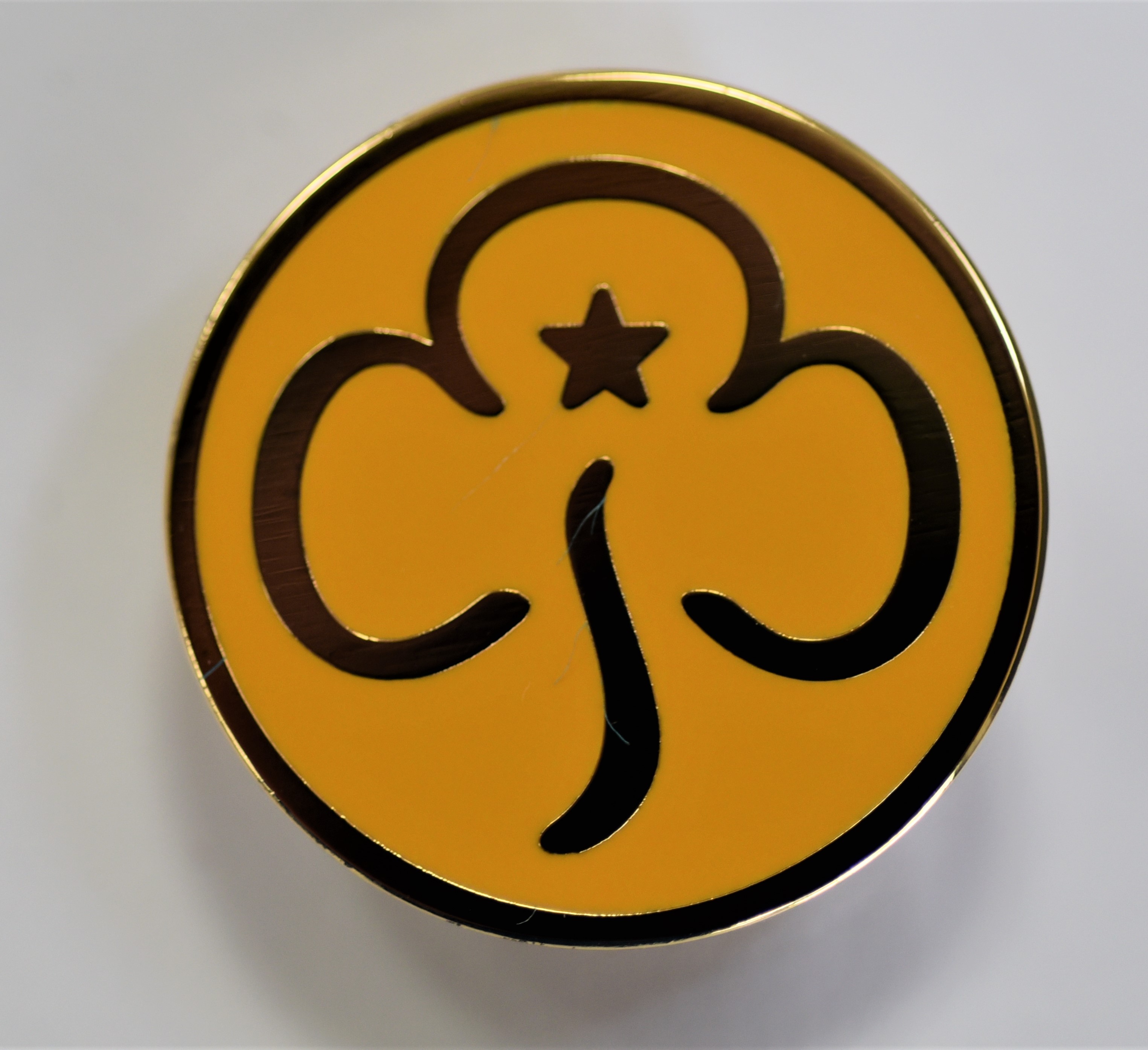 Colour photograph of a round enamel badge. The badge is yellow, with a gold coloured trefoil and a star.