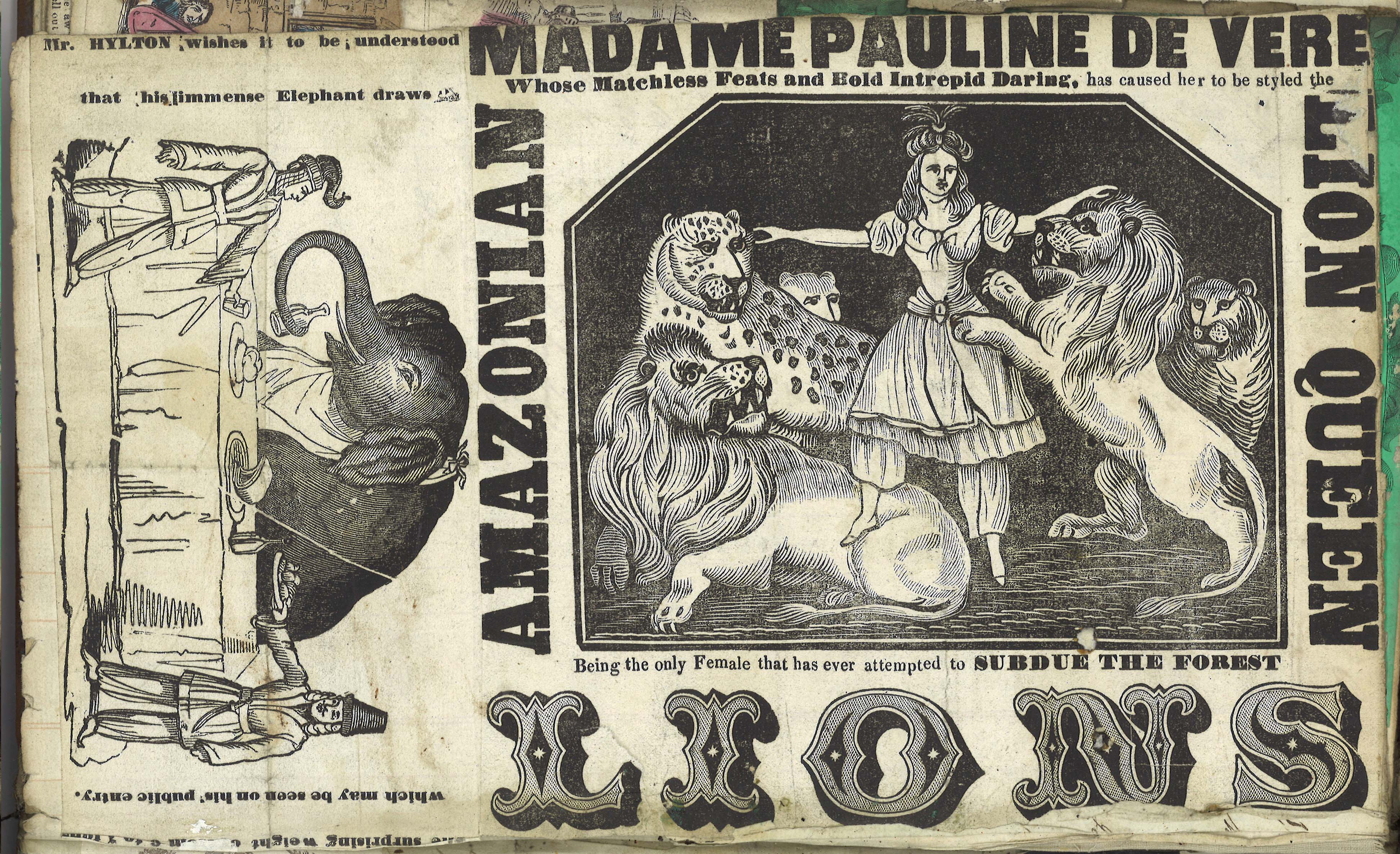 Scan showing an advert for circus acts. One is an illustration of an elephant sitting at a table, drinking from a bottle. One shows a woman surrounded by lions.