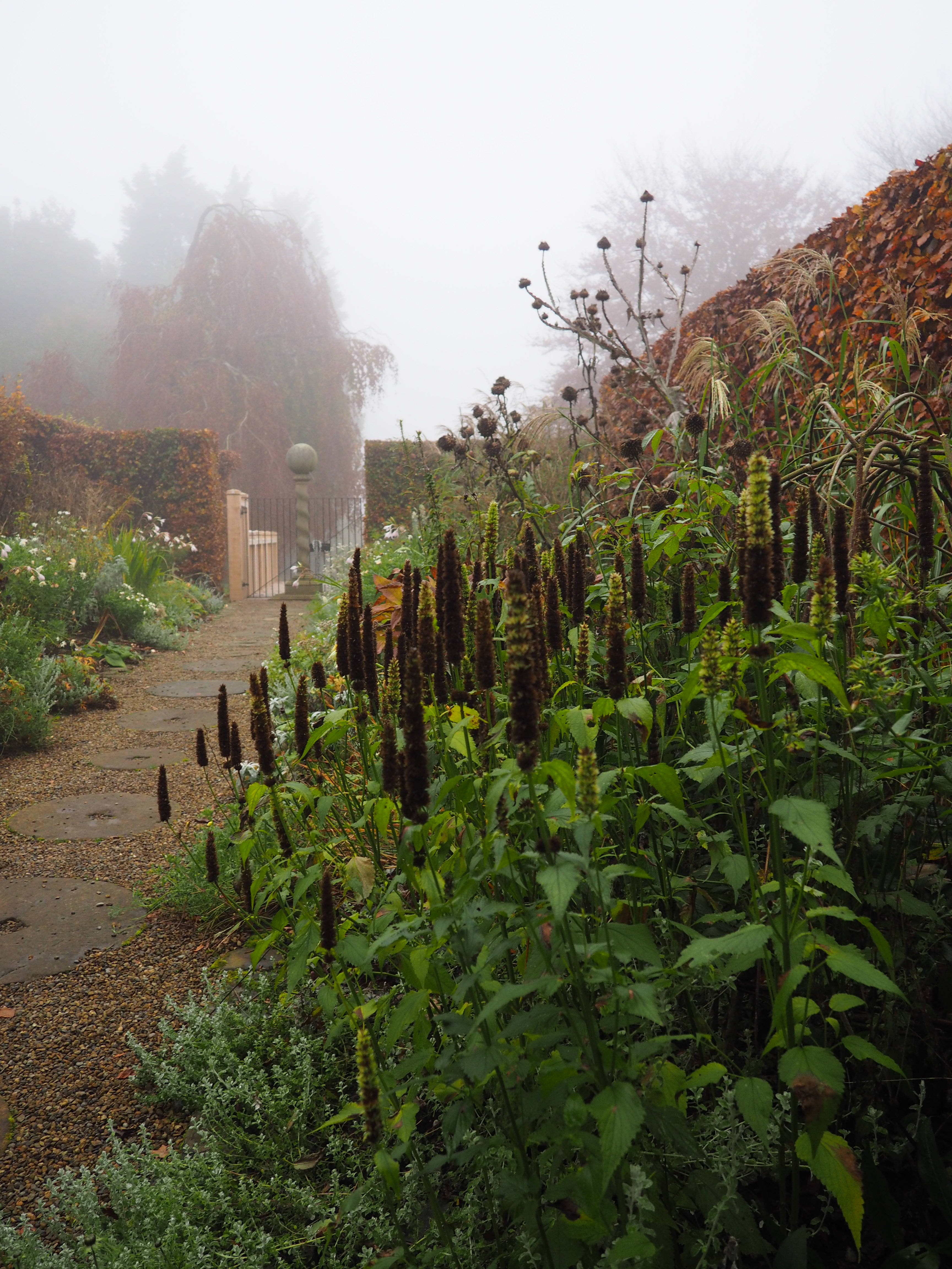 Colour photograph showing a flower bed running alongside a high brick wall.  There are various structural plants at different heights