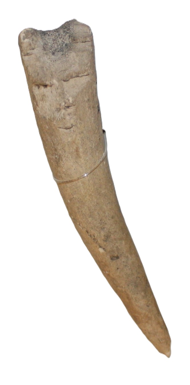 A weathered, textured, tapered tine of an antler with a carving of a face at the top, with minimal features and a calm expression.