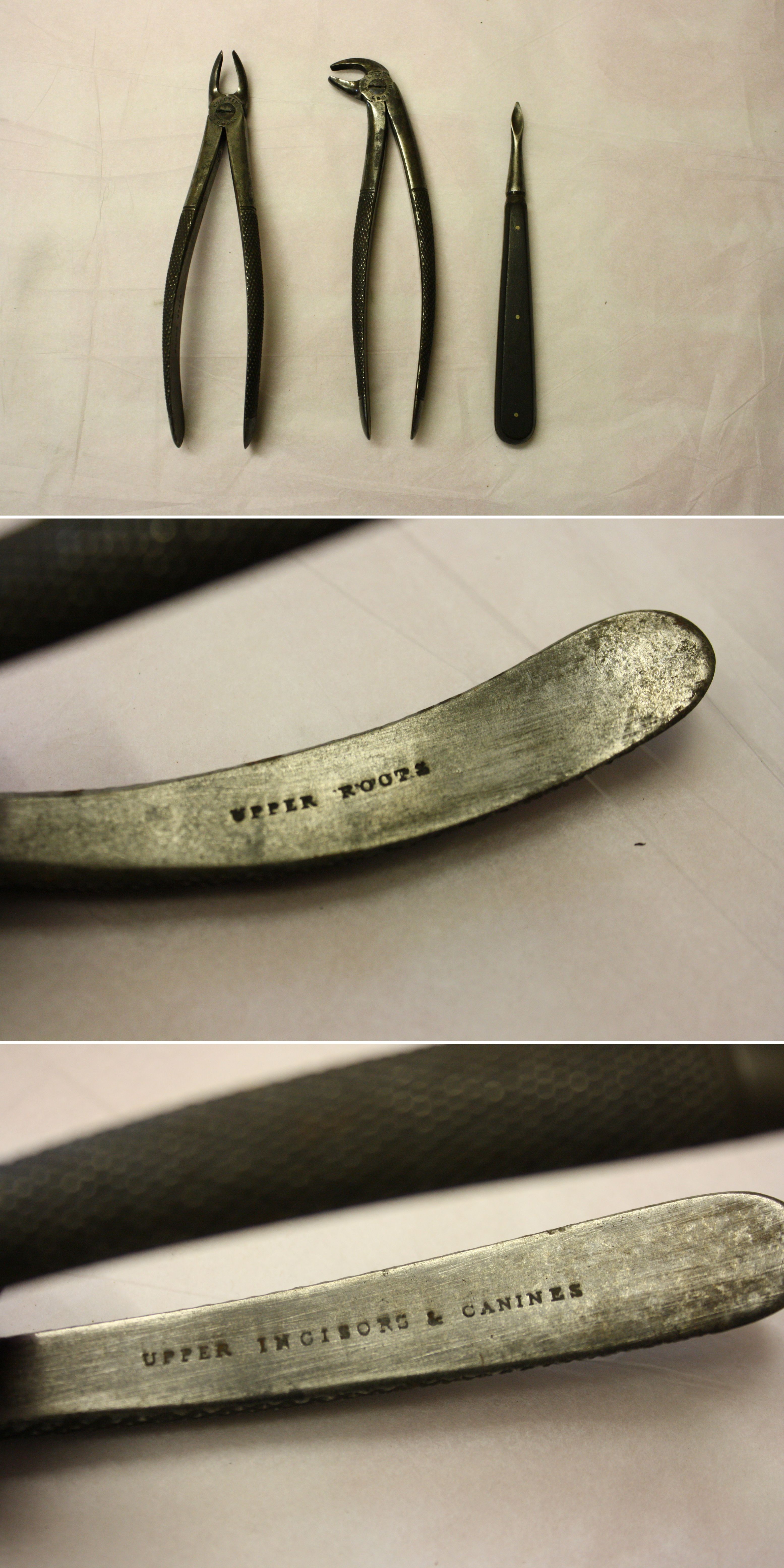 Three vintage dental tools are displayed on a white surface, including forceps and a probe. Close-ups show engravings: "Upper Roots" and "Upper Incisors & Canines".