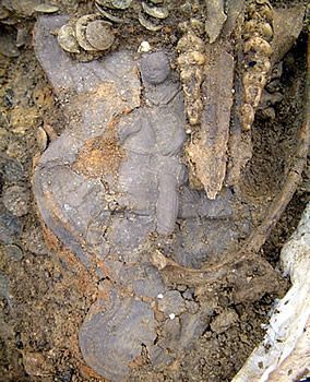 Colour photograph showing a section of leather helmet, some coins and bone