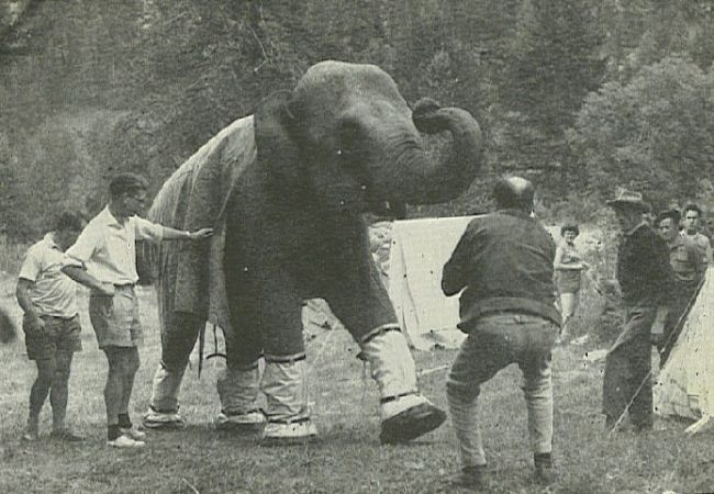 Black and white photo of Jumbo the elephant walking in the boots.  They come up to about her knee height.  She is surrounded by people.