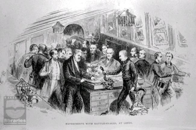 Etching showing Waterton giving a talk
