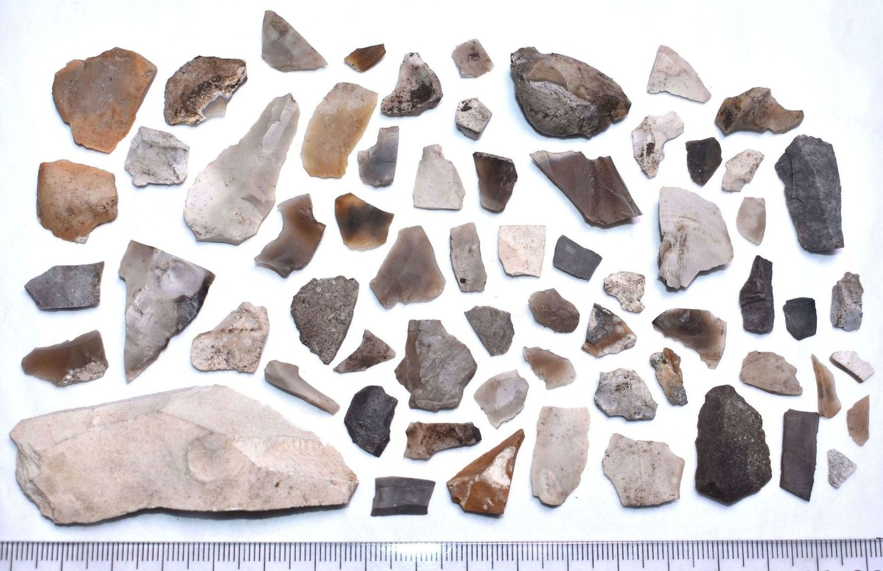 A collection of Mesolithic flint tools and flakes, arranged neatly on a white background with a scale ruler at the bottom for size reference. The tools vary in shape, size, and colour, ranging from light beige to dark brown and grey, showcasing typical knapped edges and points.