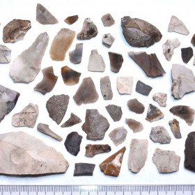 Mesolithic Flint Tools