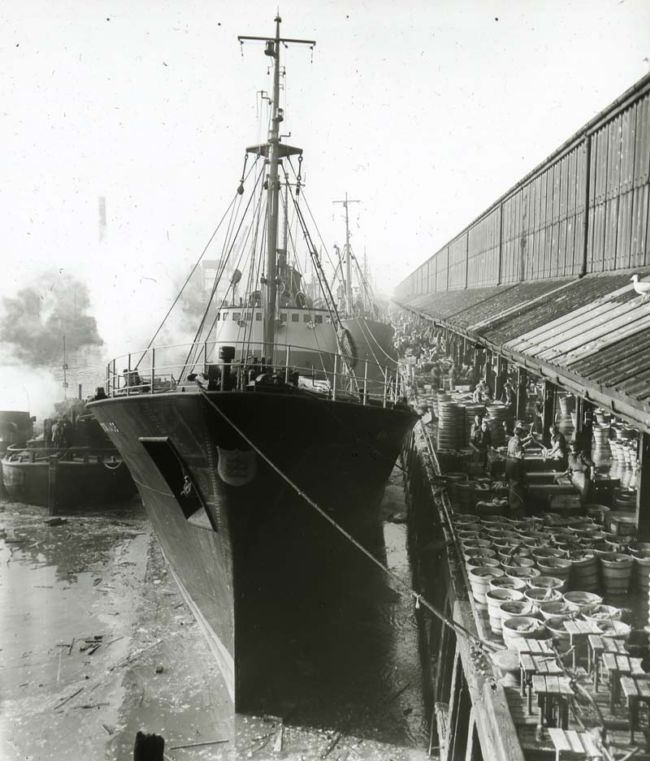 Fish being unloaded from a trawler.  There are barrels and barrels standing on the dock.