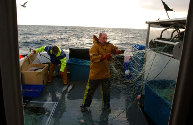 Fishermen working on a boat at sea