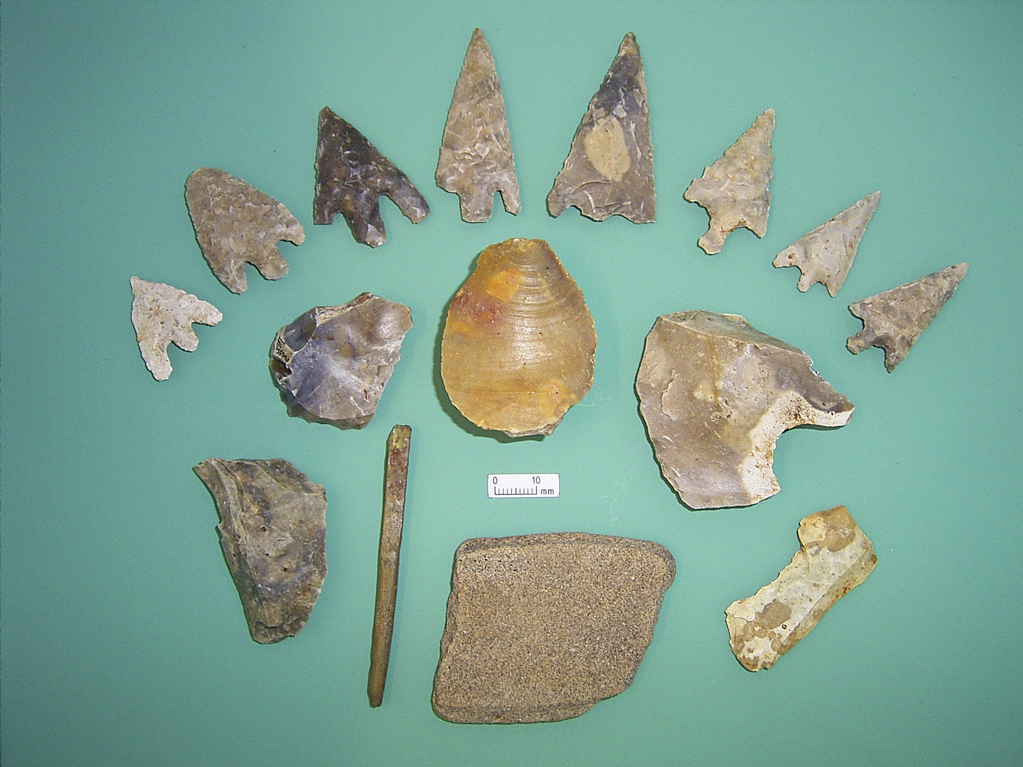 Collection of prehistoric flints and tools arranged on a green background