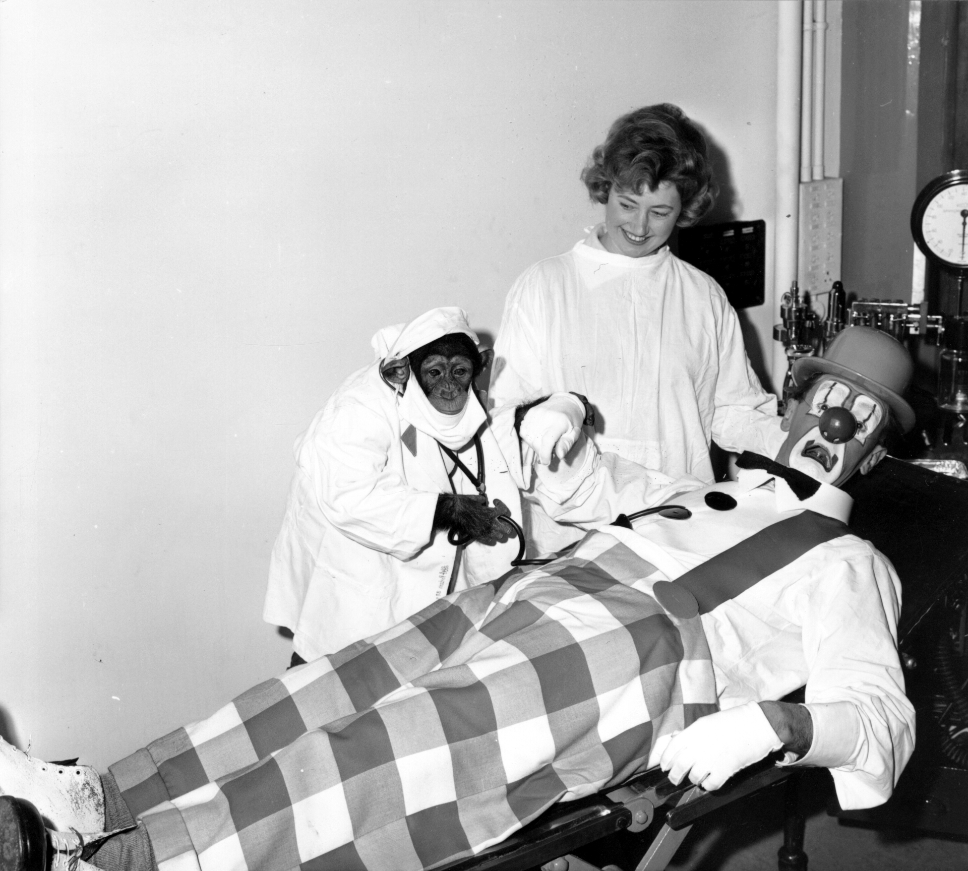 Knoble the chimp in surgeon gown and mask, aided by an assistant at Leeds General Infirmary stand next to a bed with a clown in it, and check his pulse.