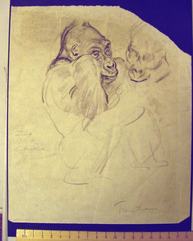 Pencil drawing showing Mok's face and arm.