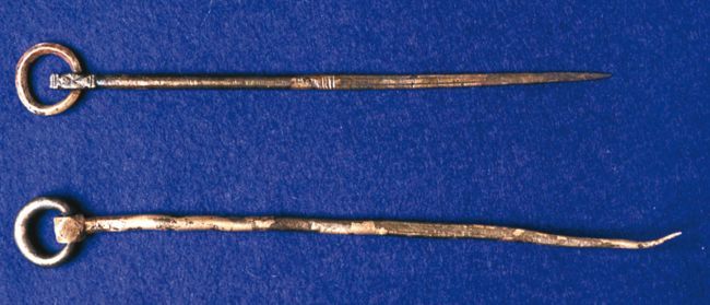 Two gold cloak pins with circles at one end, with a long thin pin attached.