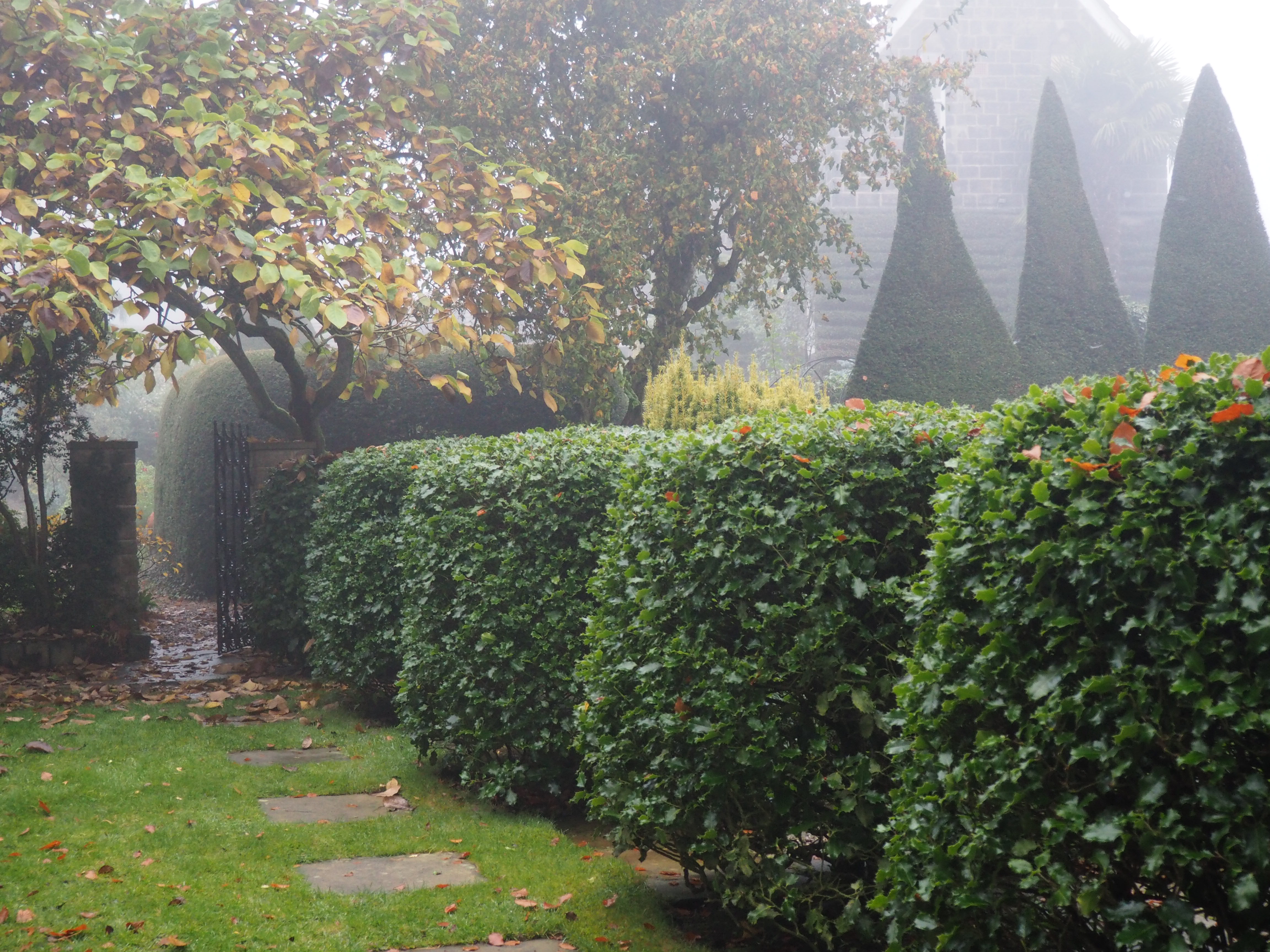 Colour photograph showing hedges cut into rounded shapes with flat tops and a flagstone path in grass.  Behind are trees shaped to fine points at the  top.