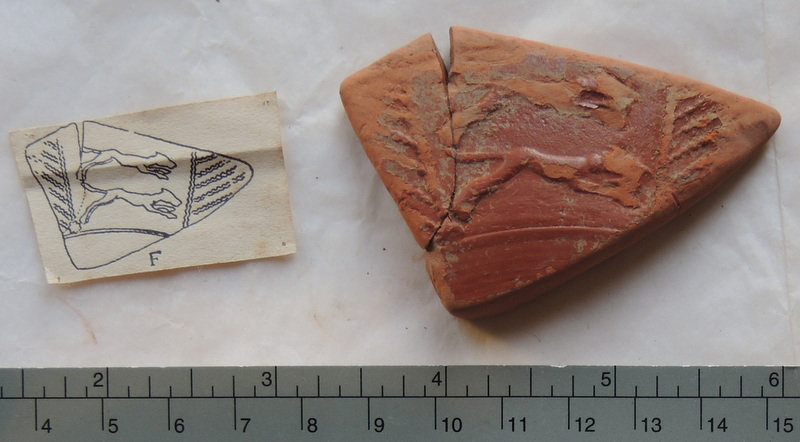 Photograph of a fragment of Roman Samian ware pottery with a reddish glaze. The shard, with a roughly triangular shape, features a relief decoration of a leaping animal (possibly a deer or hound) surrounded by vertical patterns resembling foliage. To the left of the fragment is a small paper drawing illustrating the complete design of the original vessel's decorative band, labelled with the letter F. A ruler at the bottom of the image provides scale in centimetres, indicating the fragment is approximately 6 cm long. The pottery is partially cracked but remains in good condition with visible detail.