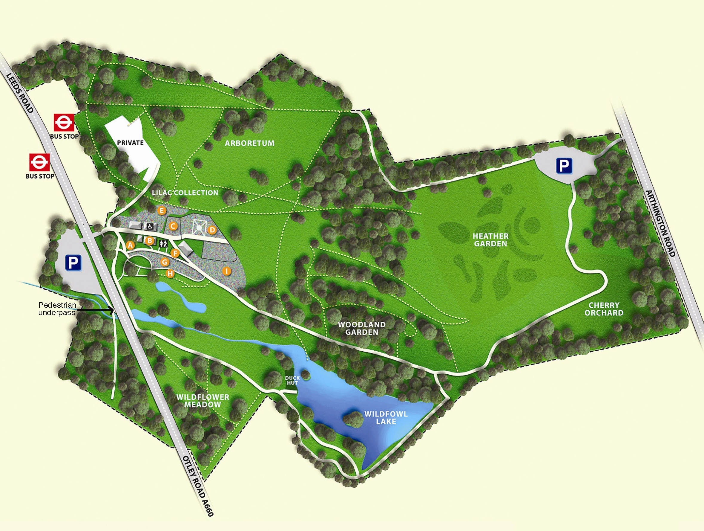 Drawing of a colour map showing open areas, trees, lake and paths