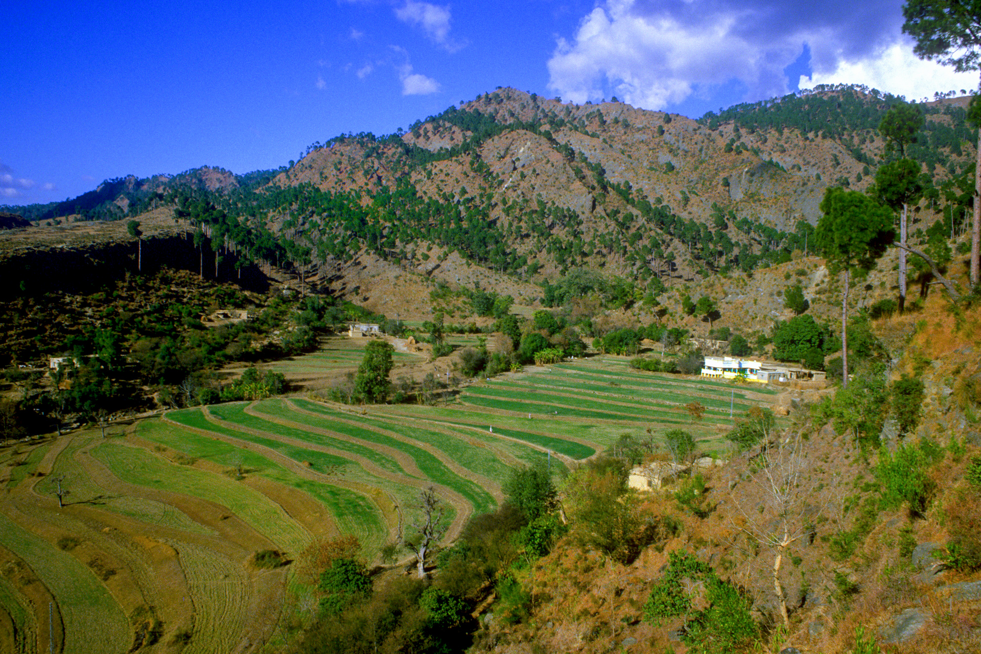 Colour photograph showing a mountain in the background, and in the foreground the land is farmed terraces. with very few buildings