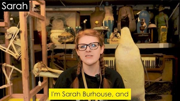 Curator of Natural Science