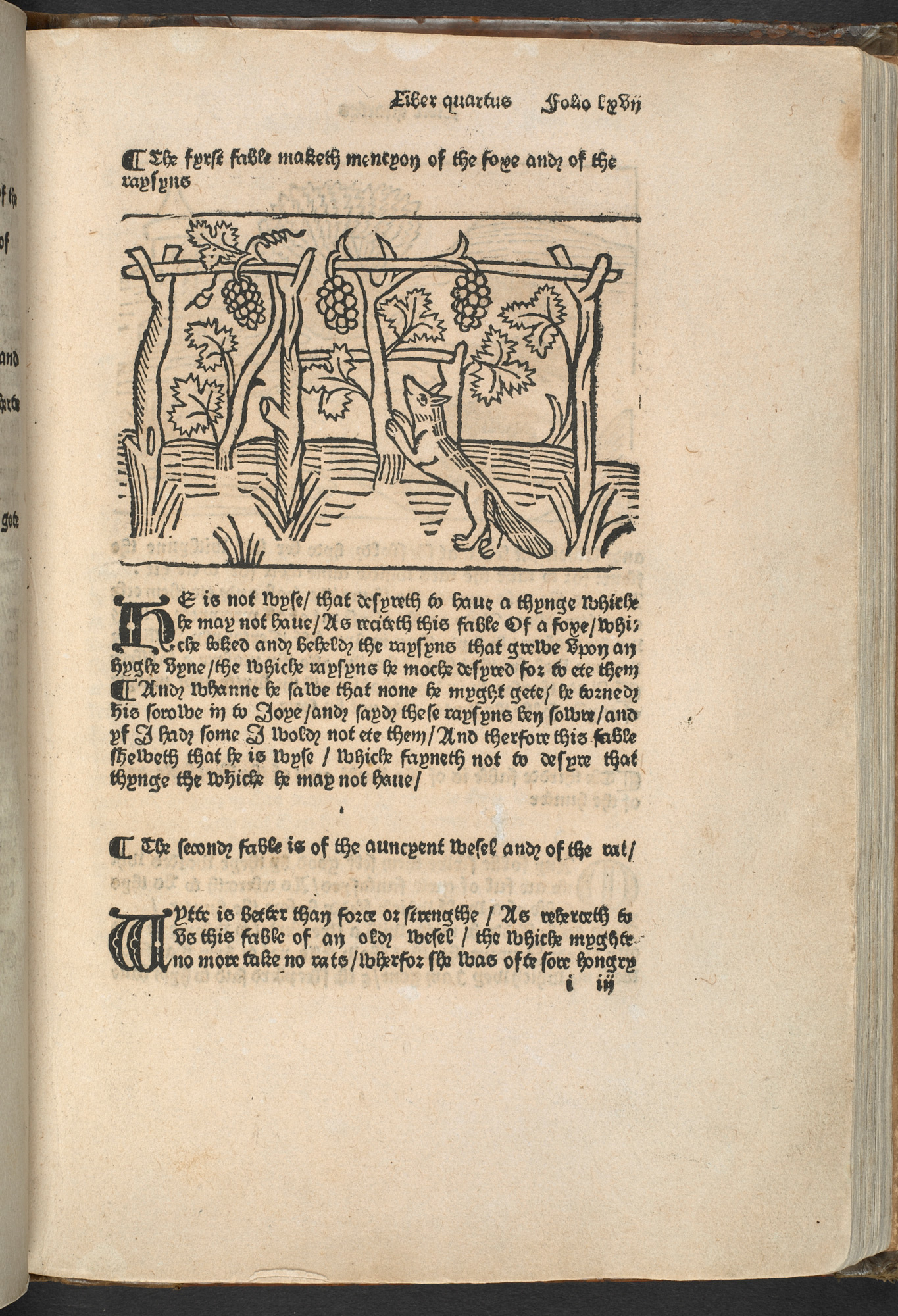 A printed page from a book, showing an image of a fox trying to reach some grapes, with writing printed underneath.