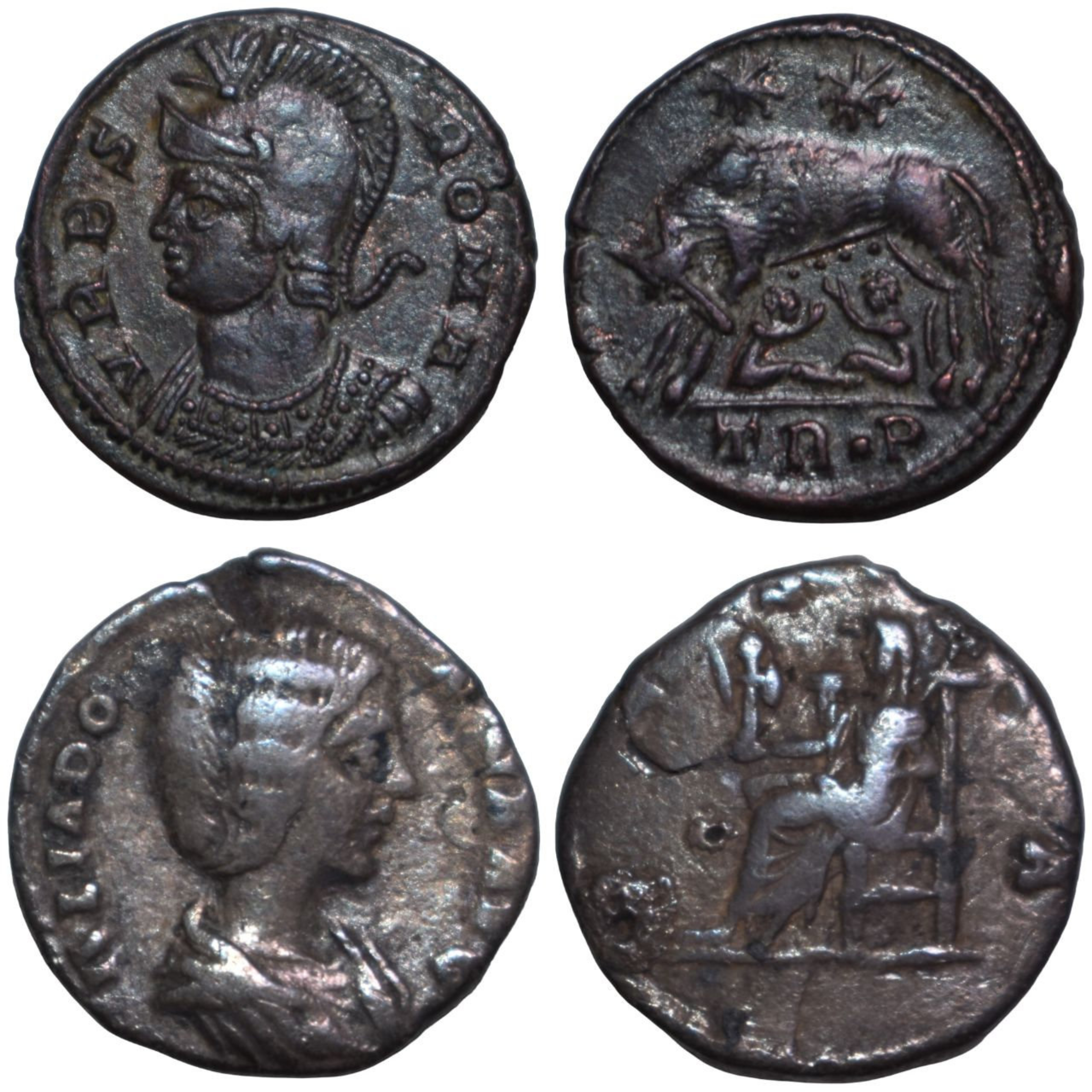 Photograph of each side of two ancient Roman coins, displayed in two rows. The top row shows both sides of one coin: the obverse features a helmeted bust with the inscription "VRBS ROMA," and the reverse depicts the legendary scene of the she-wolf suckling Romulus and Remus beneath two stars. The bottom row displays another coin: the obverse shows a portrait of a woman with the inscription "IVLIA DOMNA," and the reverse depicts a seated female figure holding objects, possibly a patera and sceptre. The coins appear dark with age but retain clear engravings and relief details.