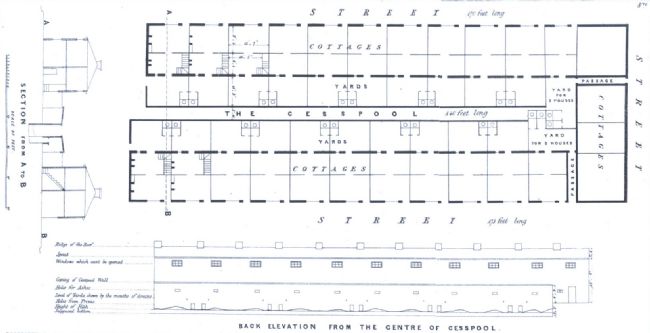 Architectural plan showing the design of cottages in Victorian Preston showing them in terraces with very little room between the rows.