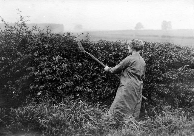 Photograph of a First World War Land Girl slashing hedges in a field at Manor Farm, near Garforth in Leeds