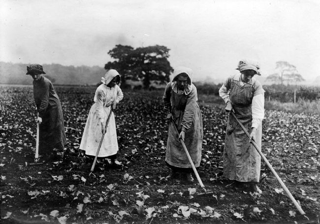WW1 Land Army Women, Garforth near Leeds