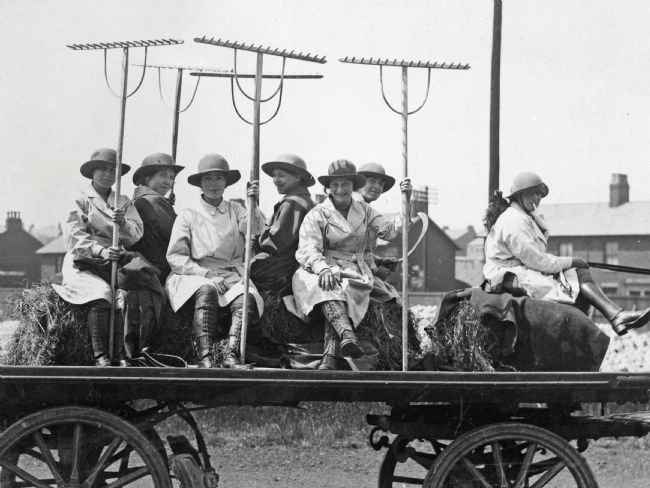 WW1 Women's Land Army women in uniform on farm cart holdign rakes