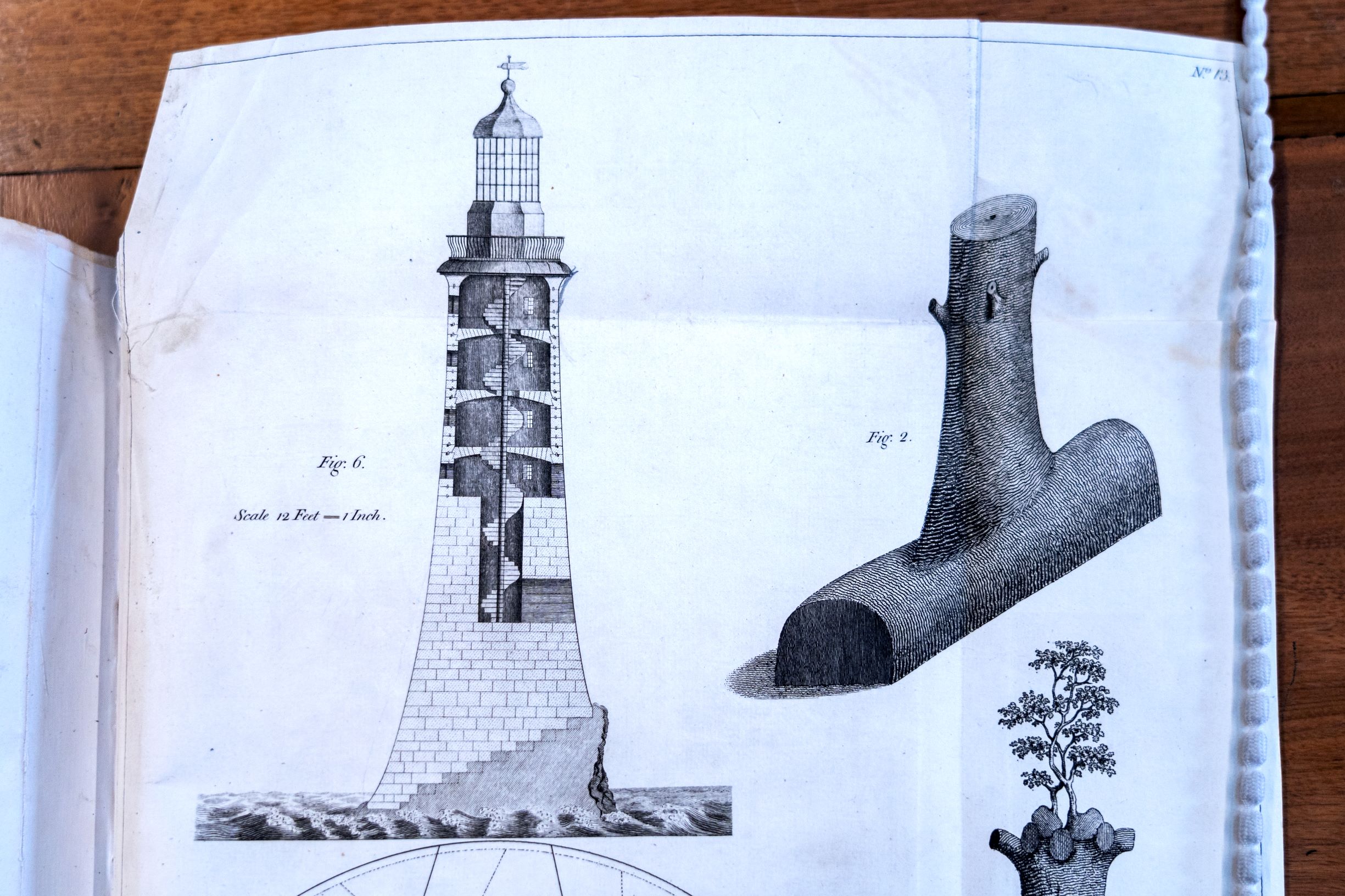 A cross section pencil drawing of a lighthouse next the drawing of a oaktree stump